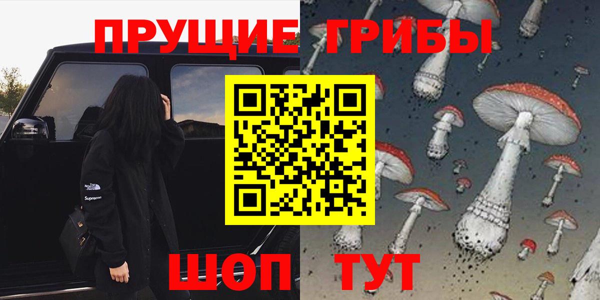 Псилоцибиновые грибы Cubensis Сальск