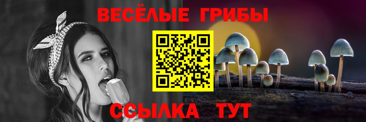 Сальск  Псилоцибиновые грибы мицелий  Вход с VPN 